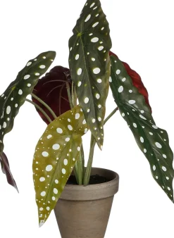 Intratuin kunstplant Stippenbegonia H 28 cm