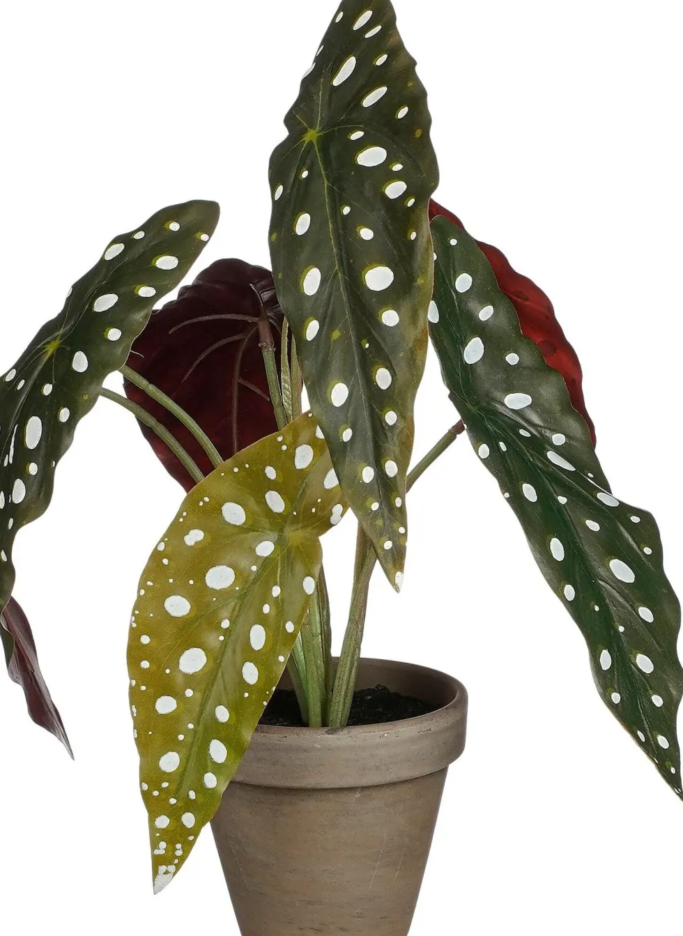 Intratuin kunstplant Stippenbegonia H 28 cm