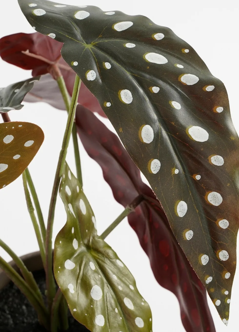 Intratuin kunstplant Stippenbegonia H 28 cm