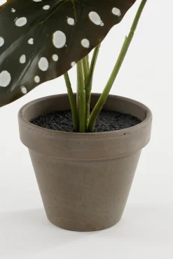 Intratuin kunstplant Stippenbegonia H 28 cm