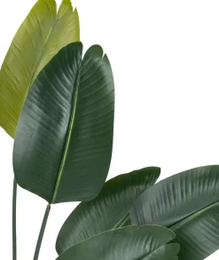 Intratuin kunstplant Strelitzia D 15 H 180 cm