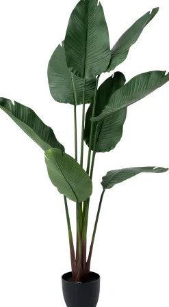 Intratuin kunstplant Strelitzia D 19,5 H 159 cm
