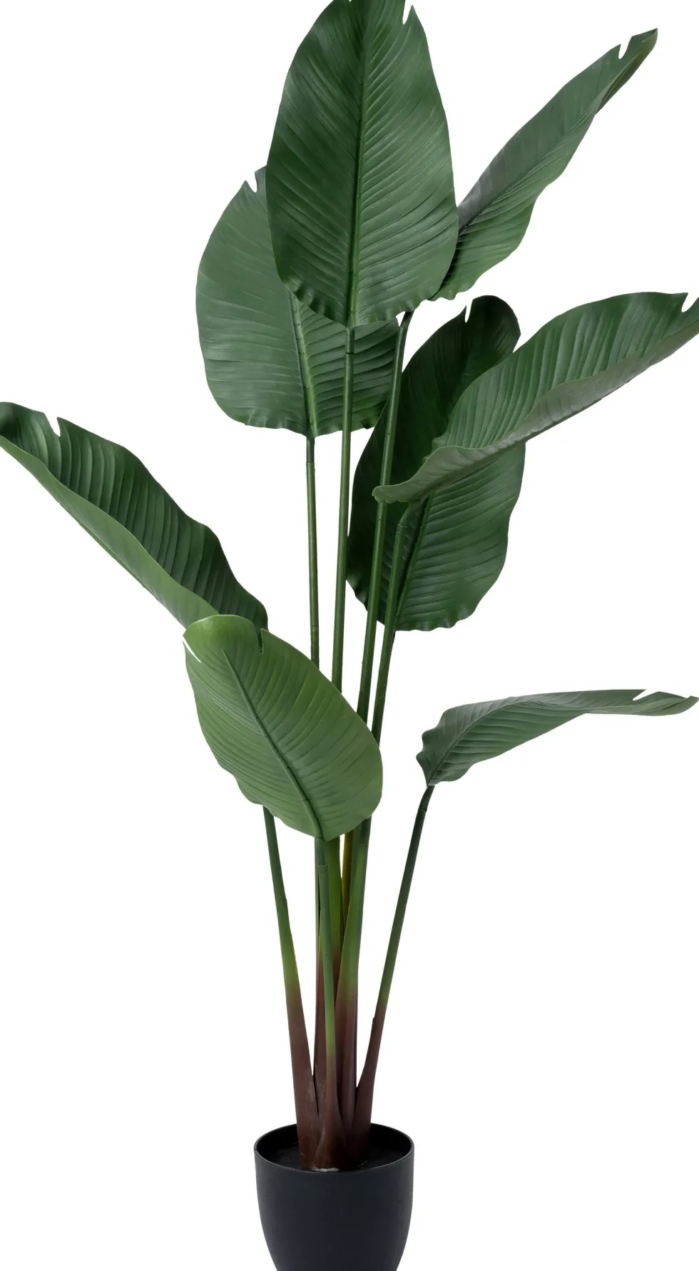 Intratuin kunstplant Strelitzia D 19,5 H 159 cm