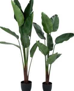 Intratuin kunstplant Strelitzia D 19,5 H 159 cm