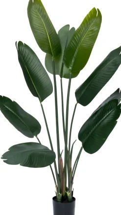 Intratuin kunstplant Strelitzia D 13,5 H 140 cm