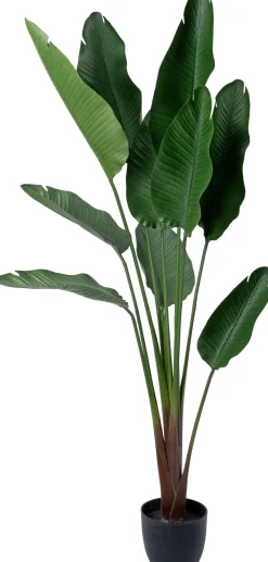 Intratuin kunstplant Strelitzia D 22 H 185 cm