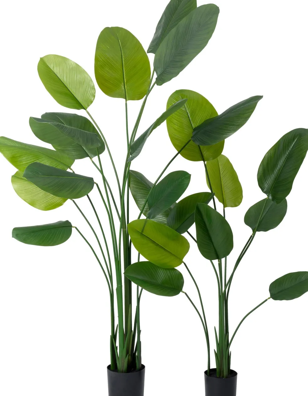 Intratuin kunstplant Strelitzia D 17,8 H 220 cm