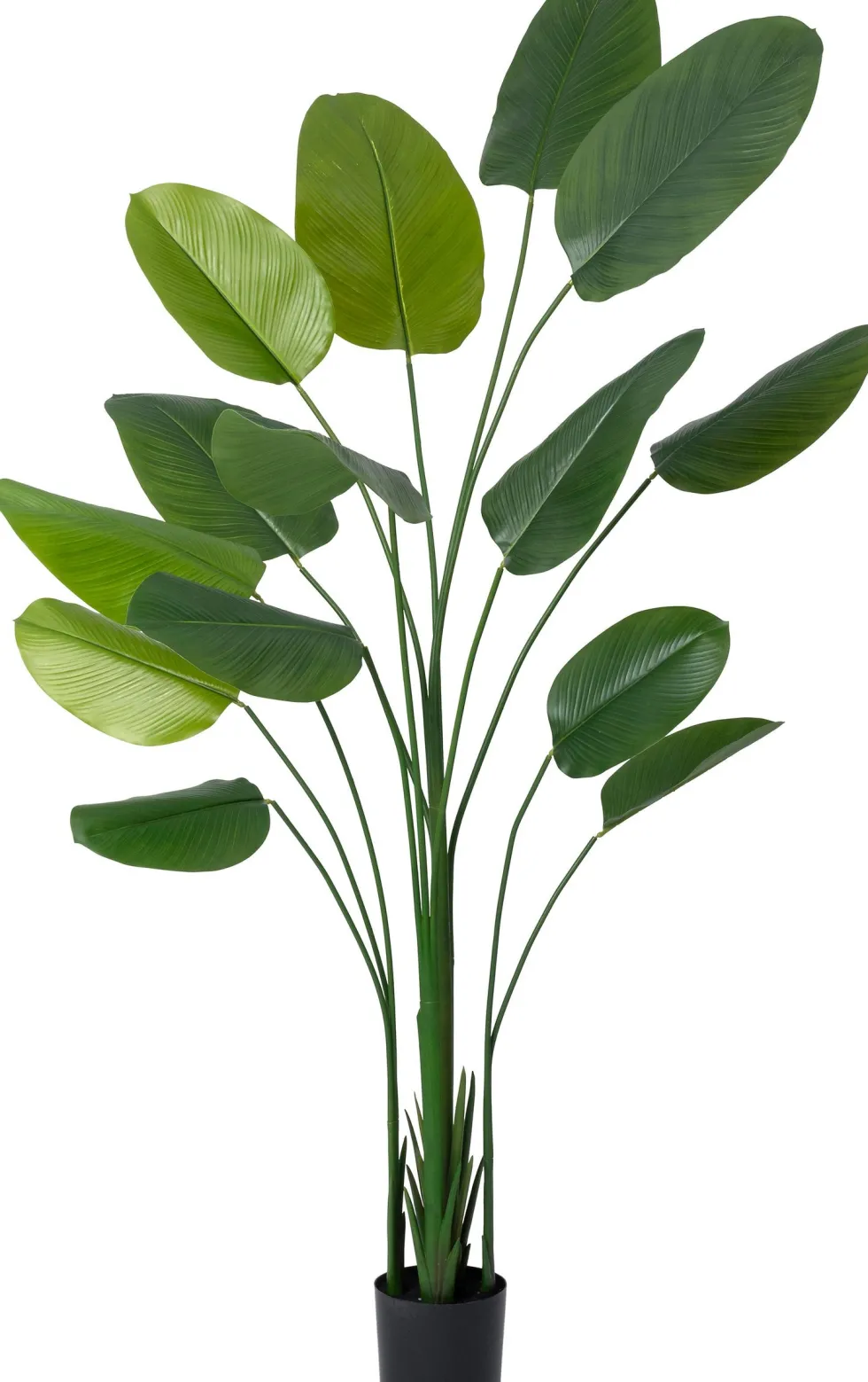 Intratuin kunstplant Strelitzia D 17,8 H 220 cm