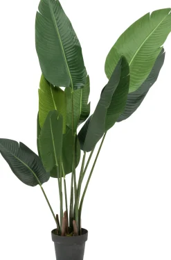 Intratuin kunstplant Strelitzia H 155 cm