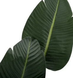 Intratuin kunstplant Strelitzia D 17 H 180 cm