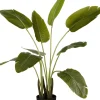 Intratuin kunstplant Strelitzia H 110 cm