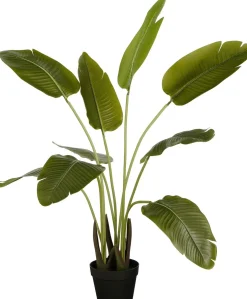 Intratuin kunstplant Strelitzia H 110 cm