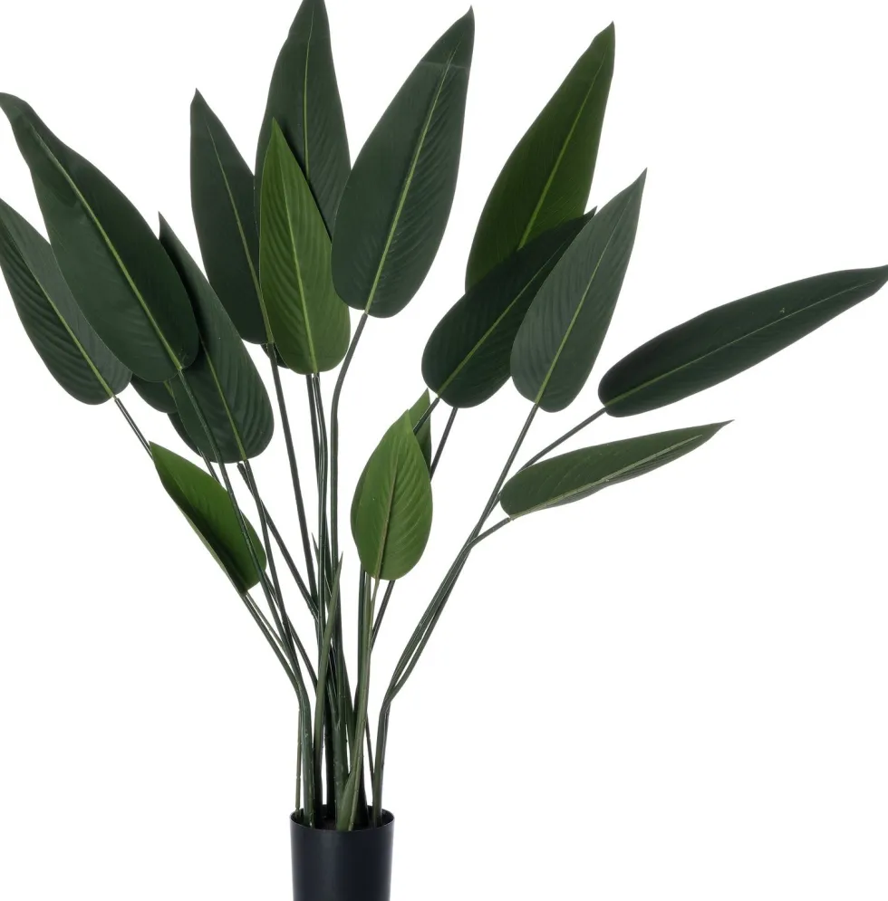 Intratuin kunstplant Strelitzia reginae H 120 cm