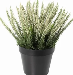 Intratuin kunstplant Struikheide wit D 12 H 23 cm