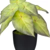 Intratuin kunstplant Syngonium D 7 H 16 cm