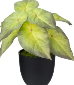 Intratuin kunstplant Syngonium D 7 H 16 cm