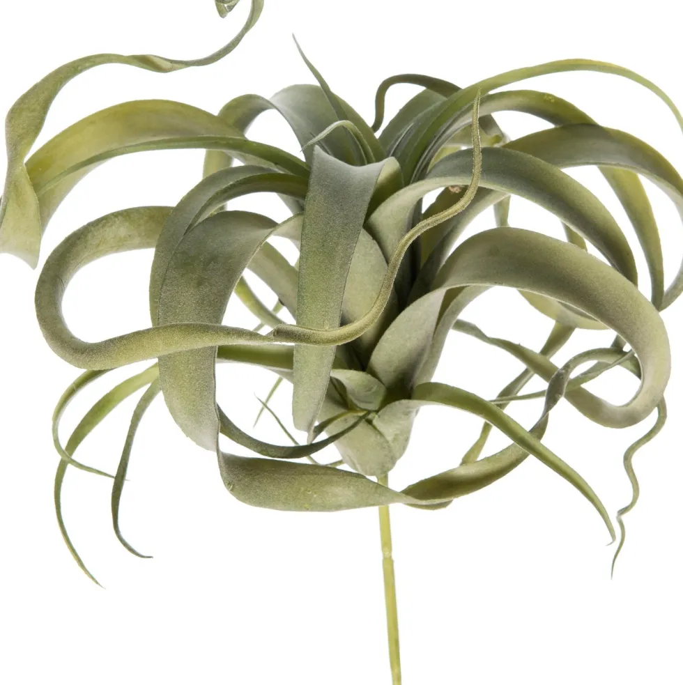Intratuin kunstplant Tillandsia grijs smal H 26 cm
