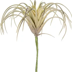 Intratuin kunstplant Tillandsia grijs H 11 cm