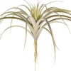 Intratuin kunstplant Tillandsia grijs breed H 26 cm