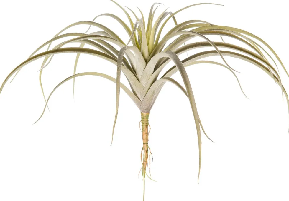 Intratuin kunstplant Tillandsia grijs breed H 26 cm
