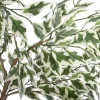 Intratuin kunstplant Treurvijg groen / wit D 23 H 185 cm