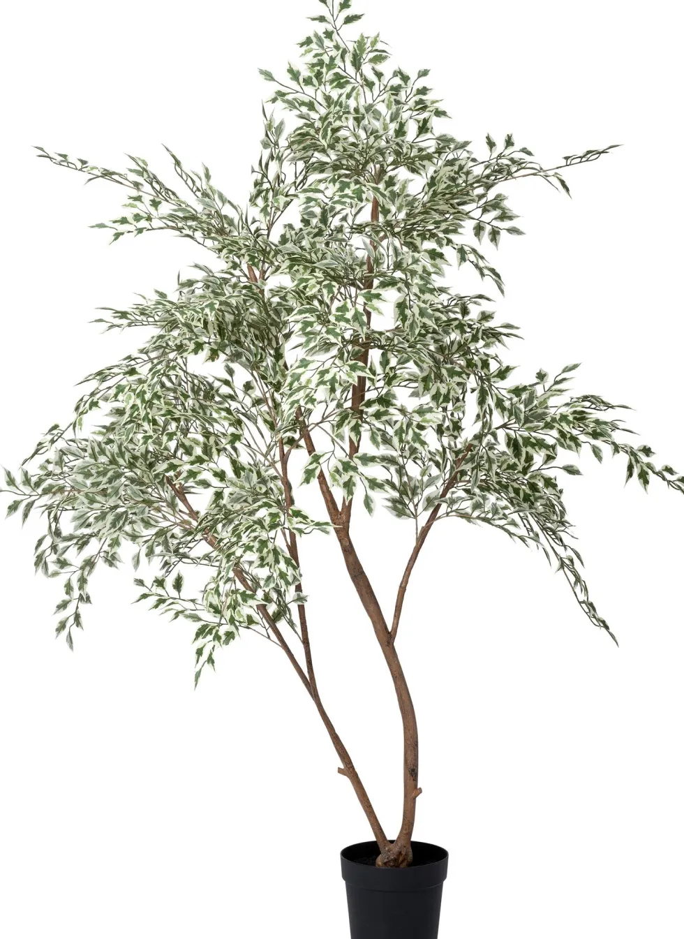 Intratuin kunstplant Treurvijg groen / wit D 23 H 185 cm