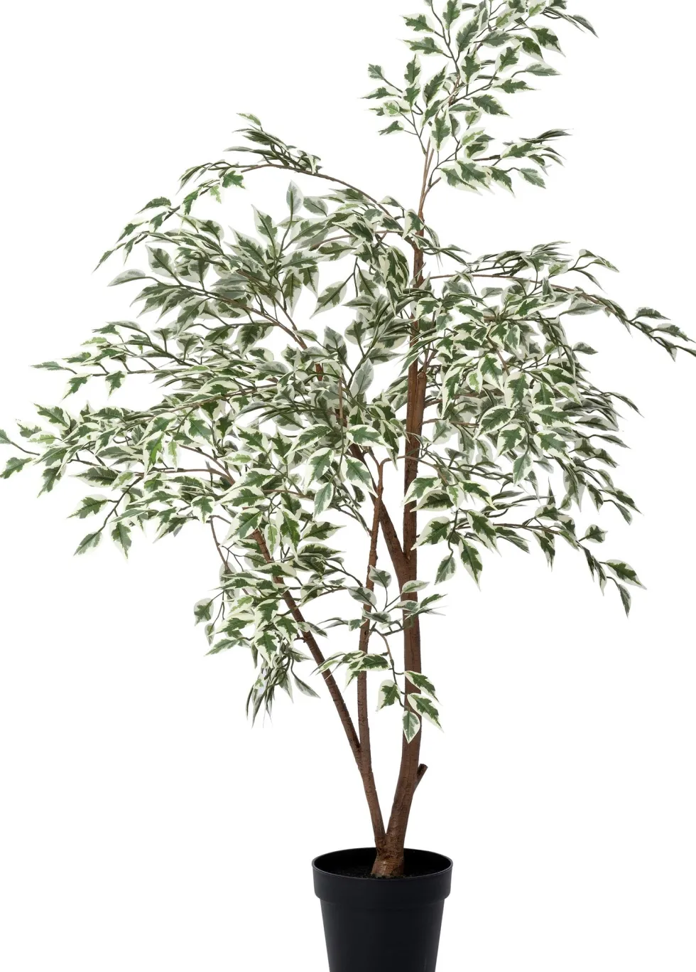 Intratuin kunstplant Treurvijg groen / wit D 19 H 120 cm