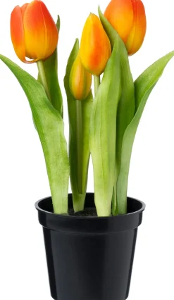 Intratuin kunstplant Tulp oranje D 8 H 24 cm