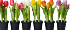 Intratuin kunstplant Tulp oranje D 8 H 24 cm