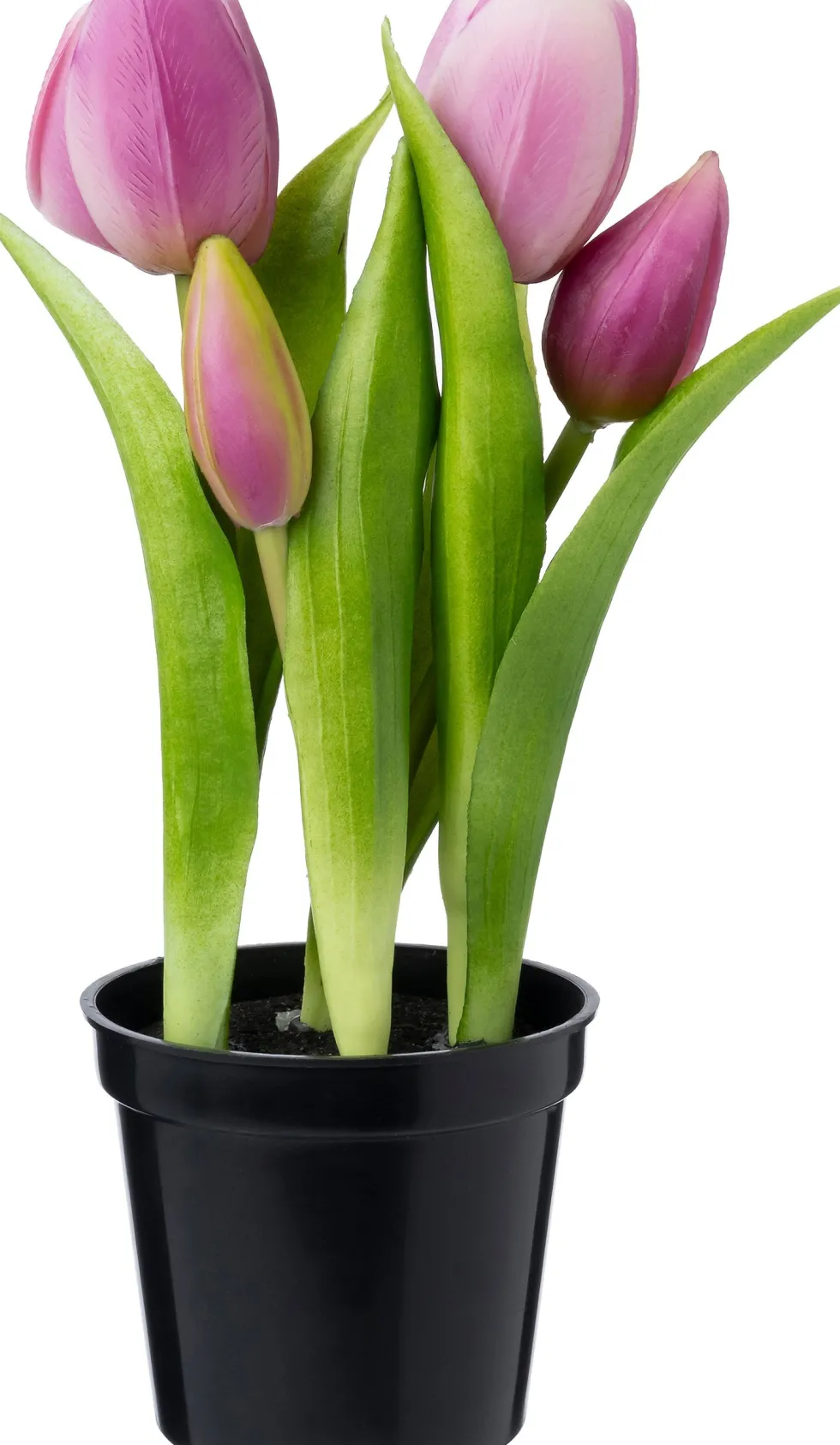 Intratuin kunstplant Tulp paars D 8 H 24 cm
