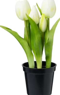 Intratuin kunstplant Tulp wit D 8 H 24 cm