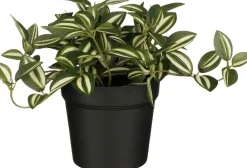 Intratuin kunstplant Vaderplant geel / groen H 16 cm