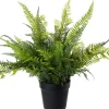 Intratuin kunstplant Varen D 20 H 20 cm