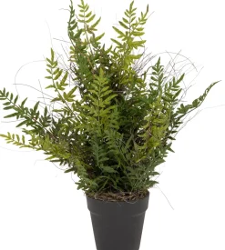 Intratuin kunstplant Varen H 55 cm