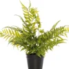 Intratuin kunstplant Varen H 56 cm