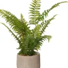 Intratuin kunstplant Varen H 35 cm
