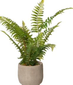 Intratuin kunstplant Varen H 35 cm