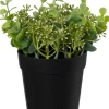 Intratuin kunstplant Vetplant wit H 14 cm