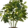 Intratuin kunstplant Vingersplant H 80 cm