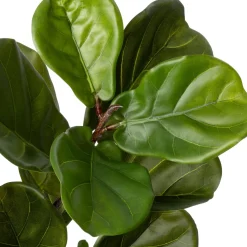 Intratuin kunstplant Vioolbladplant D 17 H 125 cm