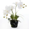 Intratuin kunstplant Vlinderorchidee wit D 13 H 43 cm