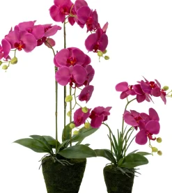 Intratuin kunstplant Vlinderorchidee roze D 13,5 H 50 cm