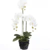 Intratuin kunstplant Vlinderorchidee wit D 19 H 85 cm