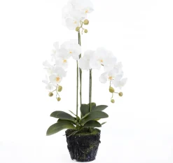 Intratuin kunstplant Vlinderorchidee wit D 19 H 85 cm
