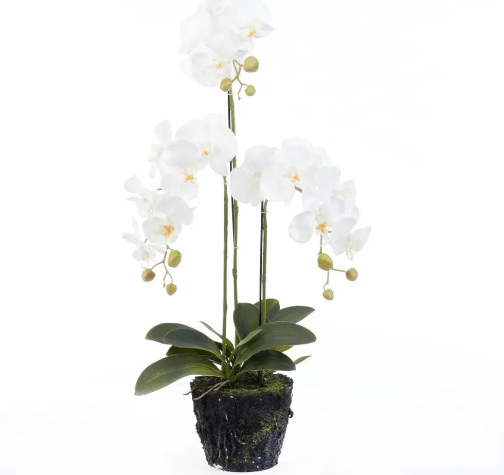 Intratuin kunstplant Vlinderorchidee wit D 19 H 85 cm