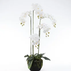 Intratuin kunstplant Vlinderorchidee wit D 27 H 115 cm