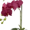 Intratuin kunstplant Vlinderorchidee paars D 15 H 70 cm