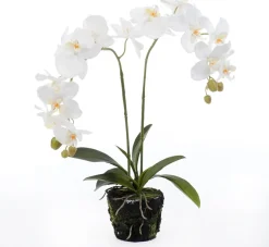 Intratuin kunstplant Vlinderorchidee wit D 15 H 67 cm