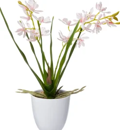 Intratuin kunstplant Vlinderorchidee roze D 10 H 37 cm