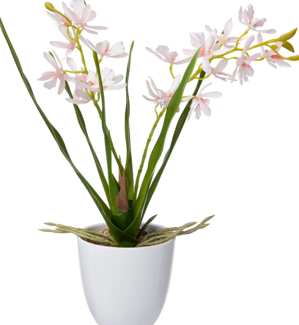 Intratuin kunstplant Vlinderorchidee roze D 10 H 37 cm